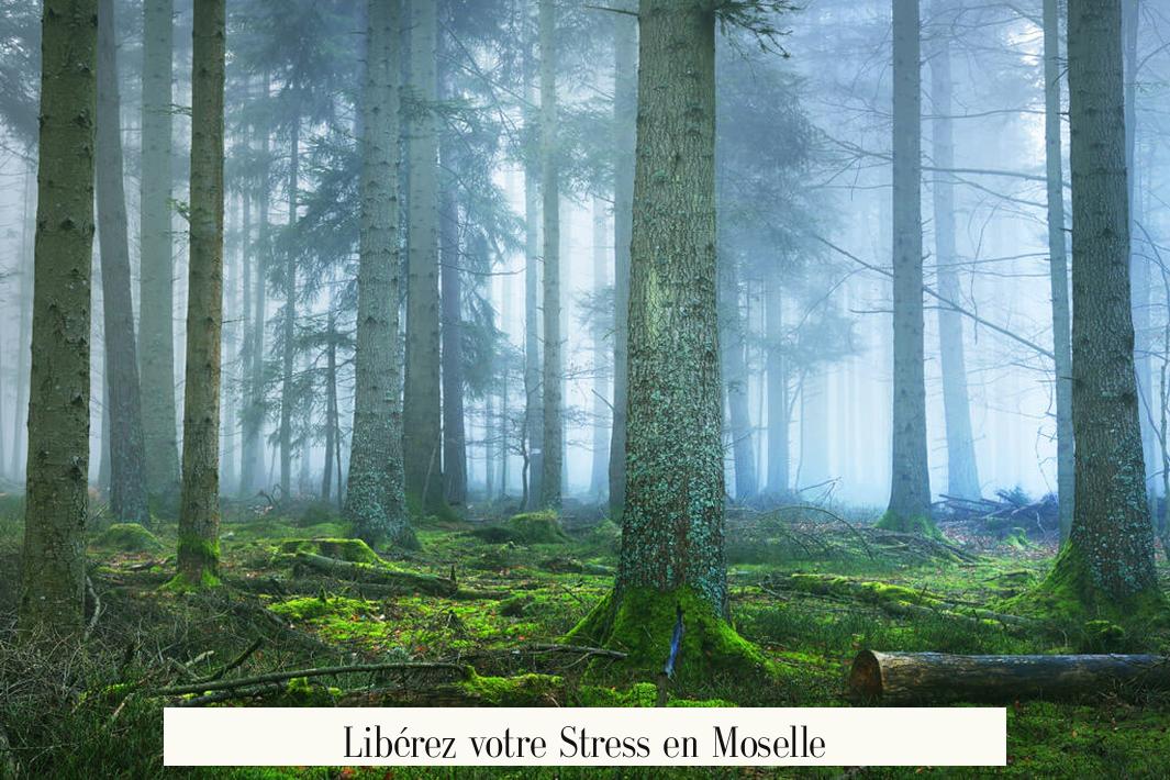 Libérez votre Stress en Moselle