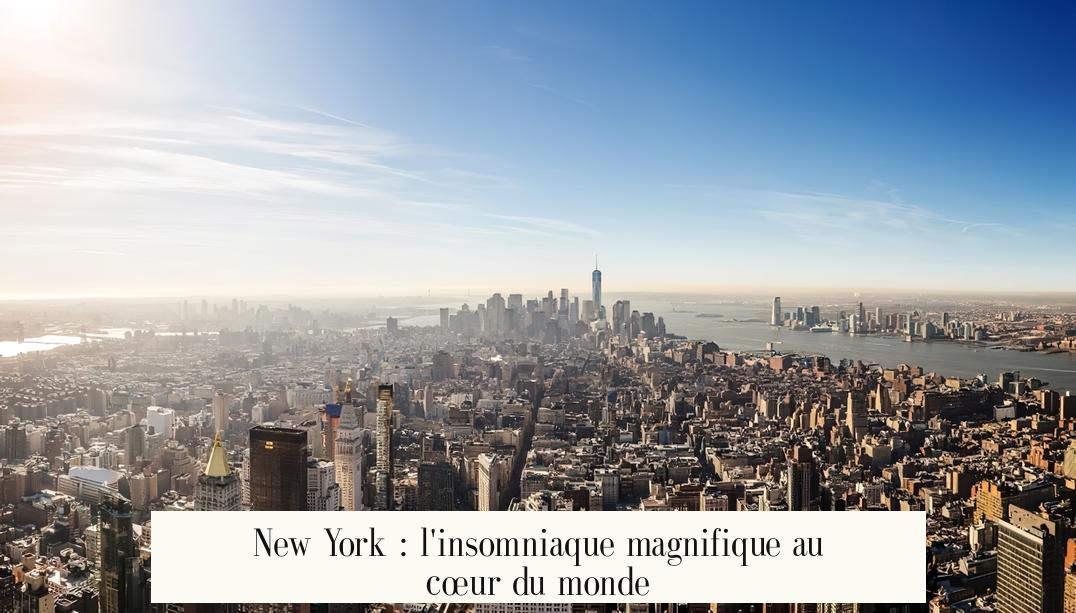 New York : l'insomniaque magnifique au cœur du monde