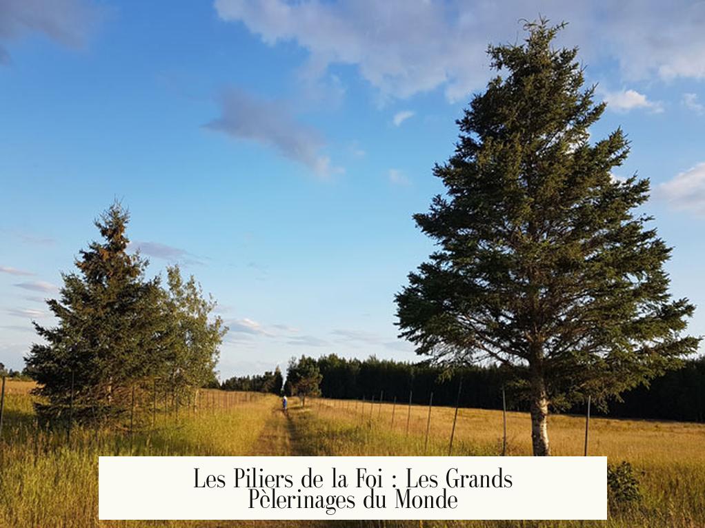 Les Piliers de la Foi : Les Grands Pèlerinages du Monde