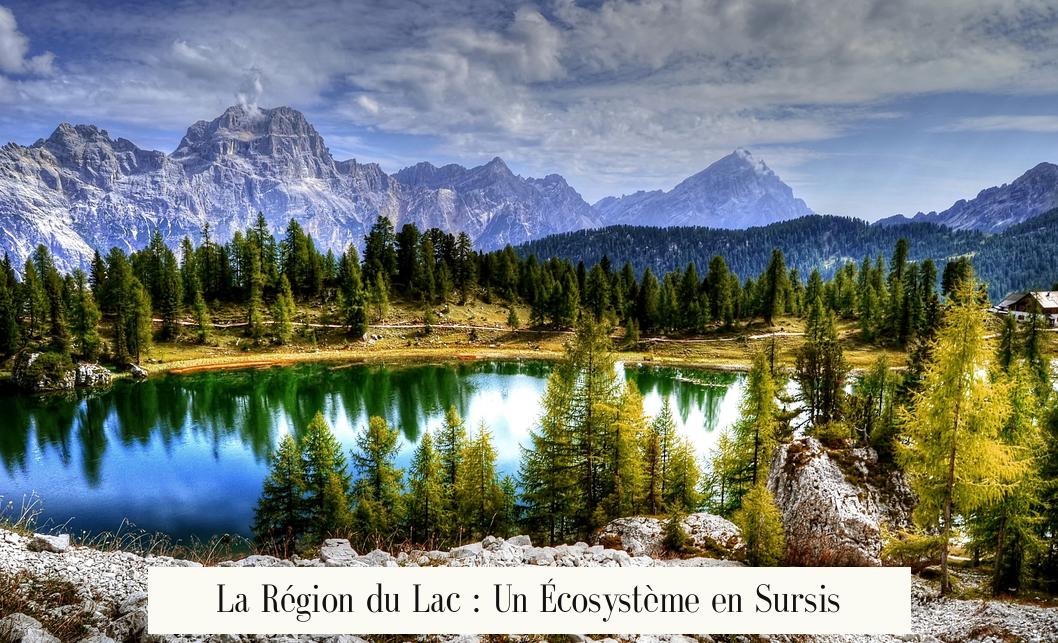 La Région du Lac : Un Écosystème en Sursis