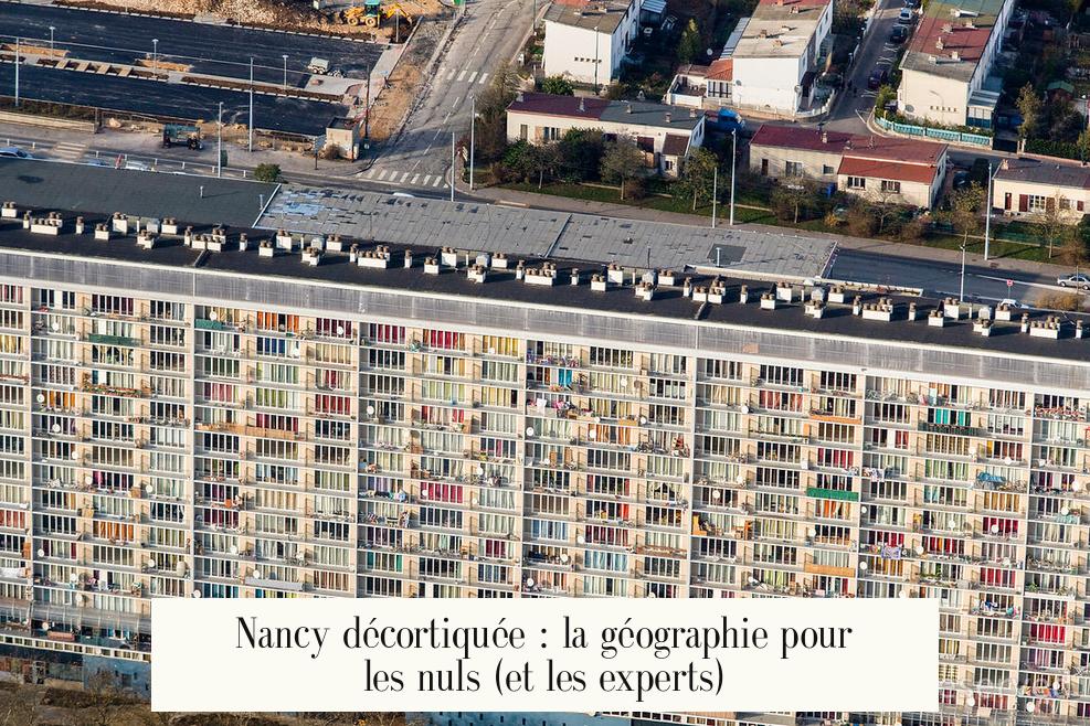 Nancy décortiquée : la géographie pour les nuls (et les experts)