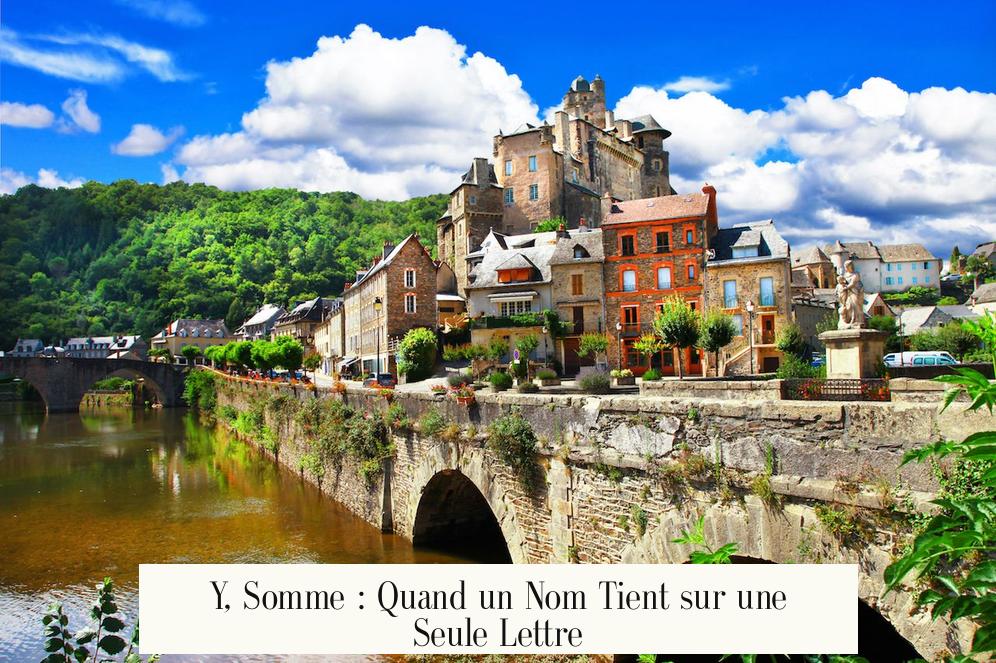 Y, Somme : Quand un Nom Tient sur une Seule Lettre