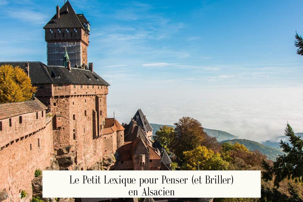 Le Petit Lexique pour Penser (et Briller) en Alsacien