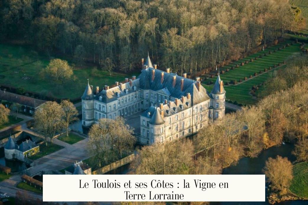 Le Toulois et ses Côtes : la Vigne en Terre Lorraine