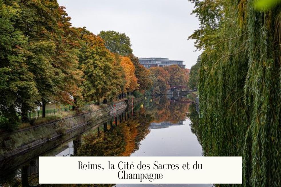 Reims, la Cité des Sacres et du Champagne