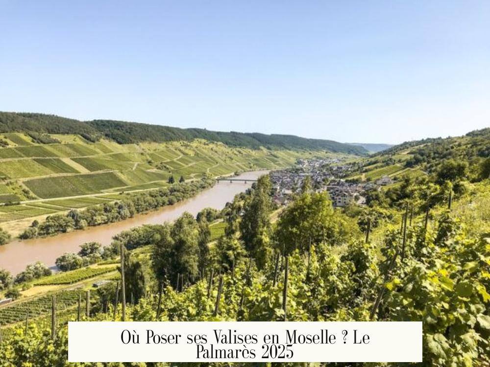 Où Poser ses Valises en Moselle ? Le Palmarès 2025