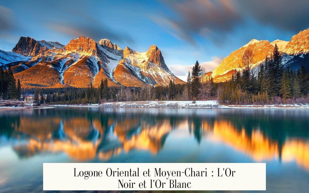 Logone Oriental et Moyen-Chari : L'Or Noir et l'Or Blanc