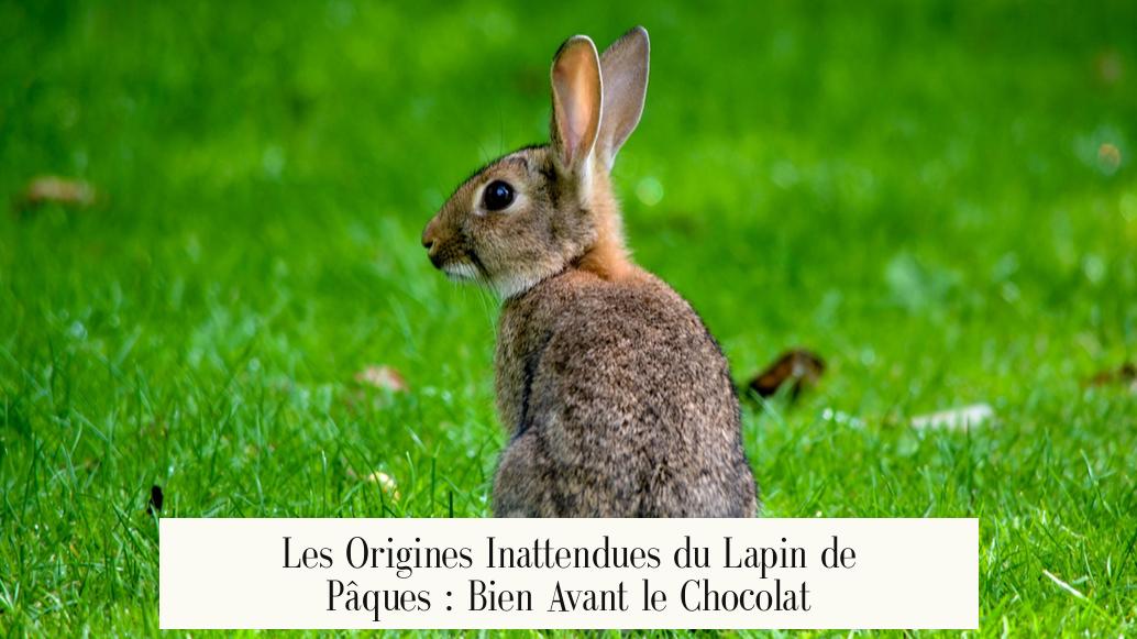 Les Origines Inattendues du Lapin de Pâques : Bien Avant le Chocolat