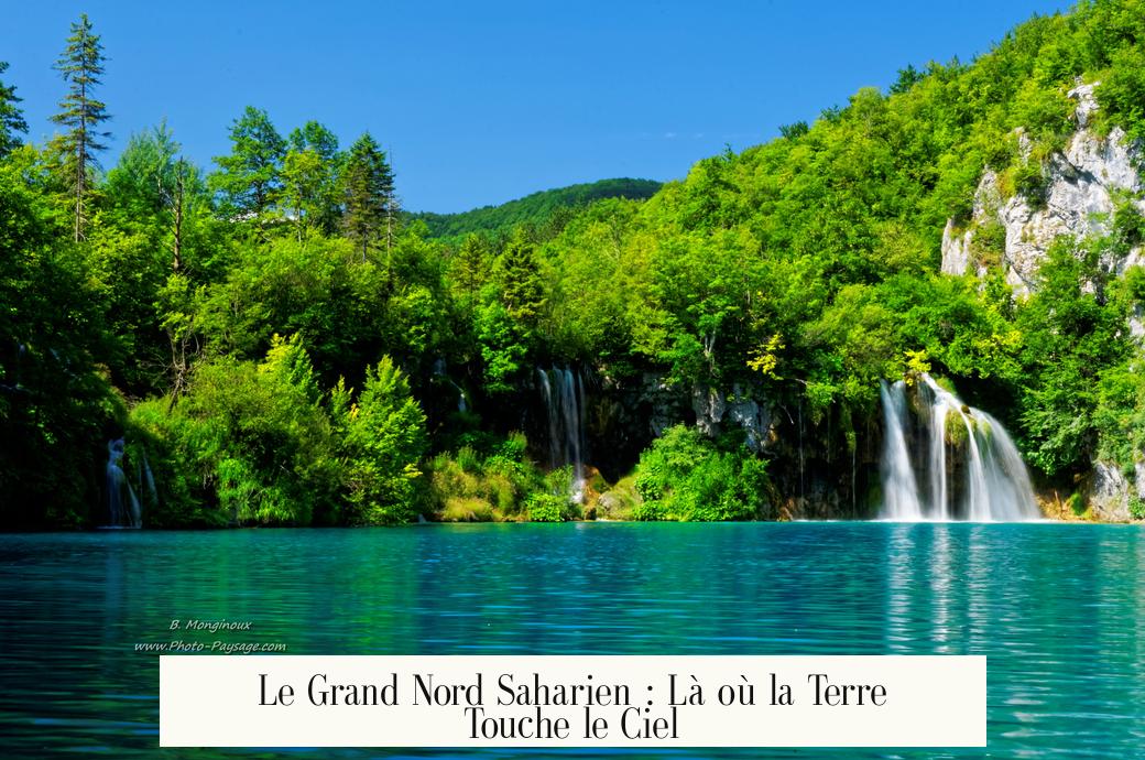 Le Grand Nord Saharien : Là où la Terre Touche le Ciel
