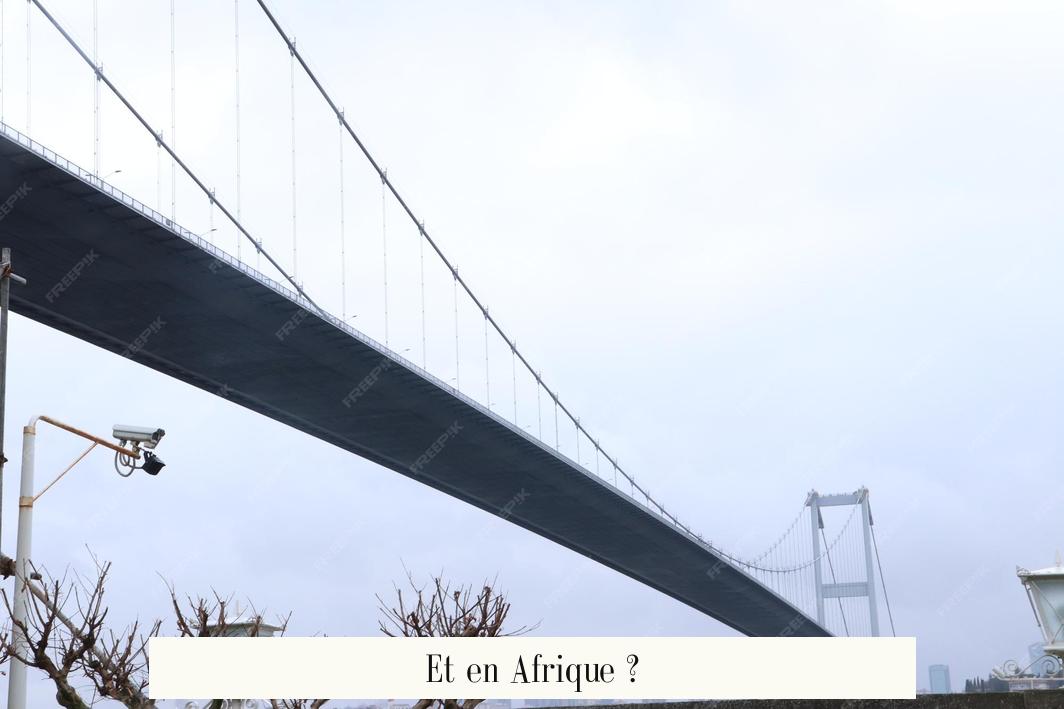 Et en Afrique ?