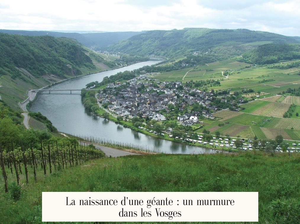 La naissance d'une géante : un murmure dans les Vosges