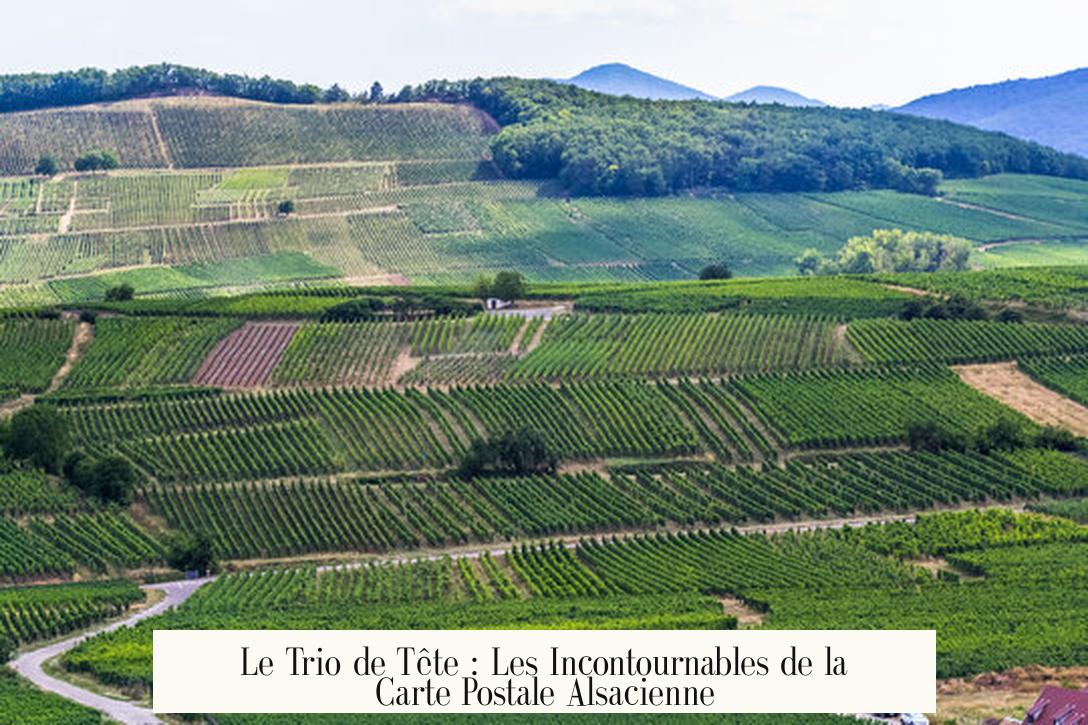Le Trio de Tête : Les Incontournables de la Carte Postale Alsacienne