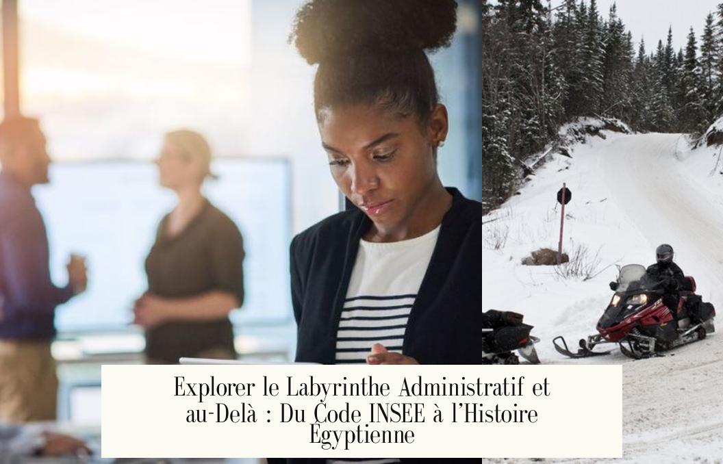 Explorer le Labyrinthe Administratif et au-Delà : Du Code INSEE à l’Histoire Égyptienne