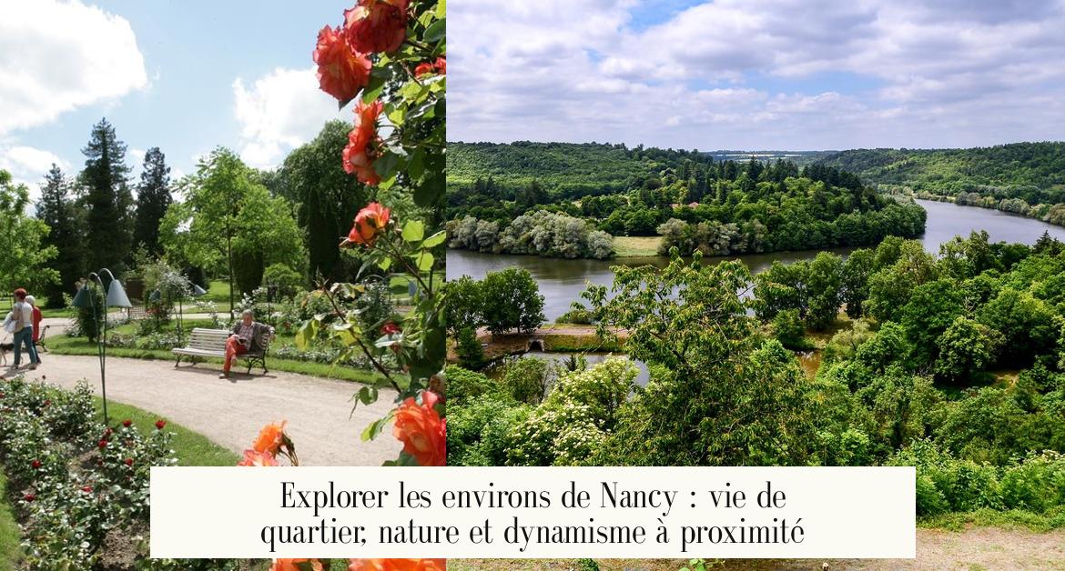 Explorer les environs de Nancy : vie de quartier, nature et dynamisme à proximité