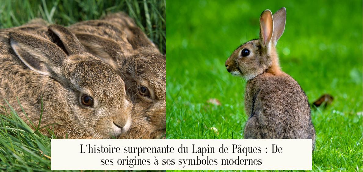 L’histoire surprenante du Lapin de Pâques : De ses origines à ses symboles modernes