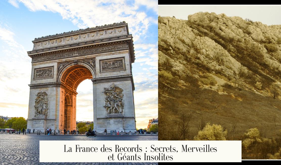 La France des Records : Secrets, Merveilles et Géants Insolites
