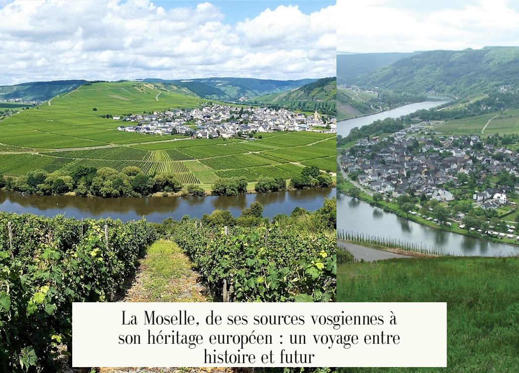 La Moselle, de ses sources vosgiennes à son héritage européen : un voyage entre histoire et futur