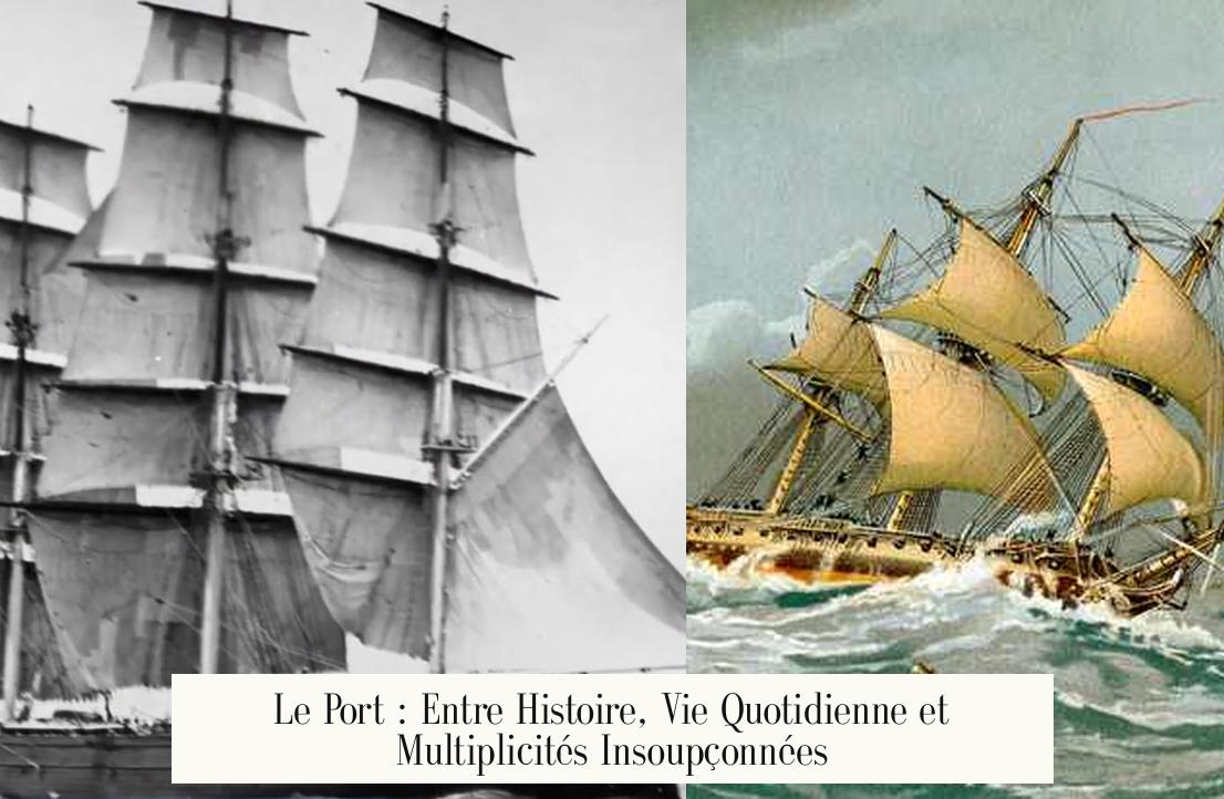 Le Port : Entre Histoire, Vie Quotidienne et Multiplicités Insoupçonnées