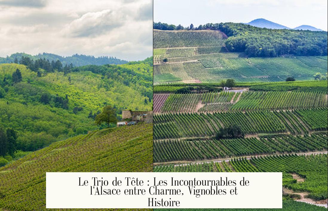 Le Trio de Tête : Les Incontournables de l'Alsace entre Charme, Vignobles et Histoire